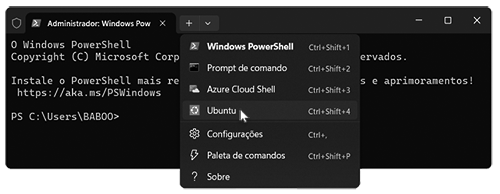 Subsistema do Windows e WSL 2